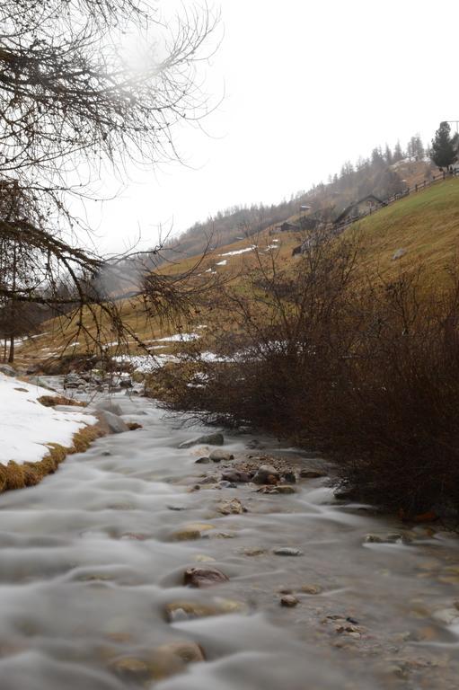 Loredana Livigno