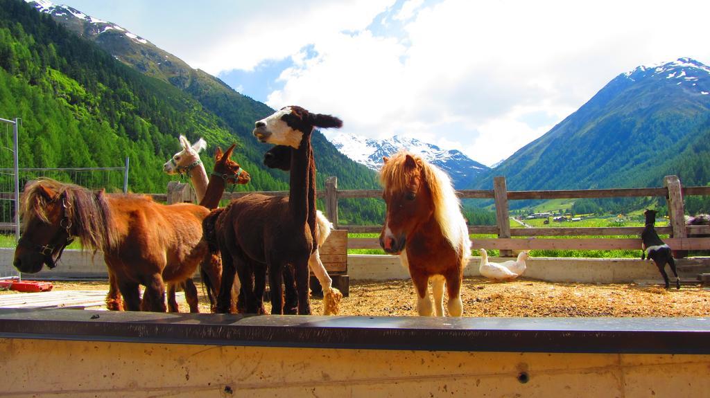 Hotel Loredana Livigno
